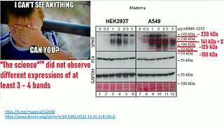 Directed Protein Evolution and Rules of Protein Engineering by Sabine Stebel