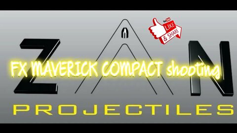 FX Maverick Compact 25 caliber shooting ZAN slugs 50 yards