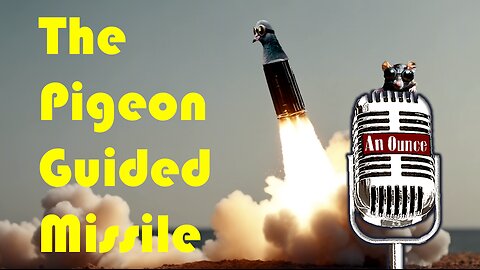 The Pigeon Guided Missile