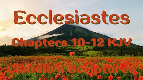 The Bible Series Bible Book Ecclesiastes Chapters 10-12 Audio