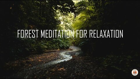 Forest meditation for relaxation - a quick 5 min guided meditation anxiety relief