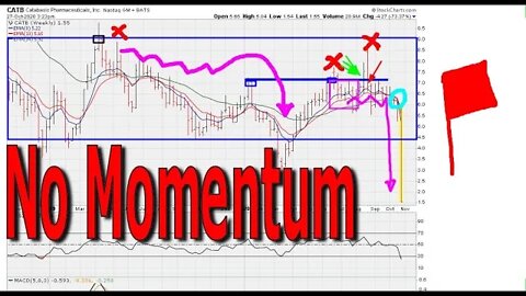 A Repeating History of No Momentum - #1281