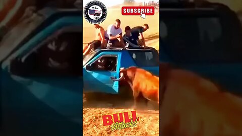 "Surviving the Bull's Rampage: A Close Encounter" #youtubeshorts