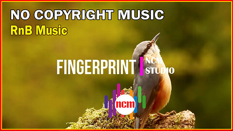 Fingerprint - Mini Vandals: RnB and Soul Music, Funky Music