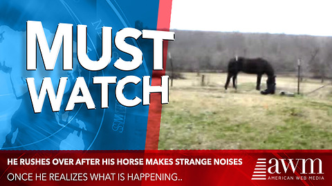 He Rushes Over After His Horse Makes Strange Noises, Quickly Realizes What’s Happening