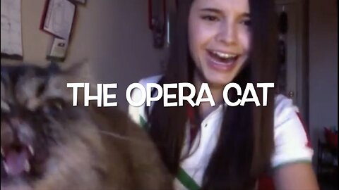 THE OPERA CAT
