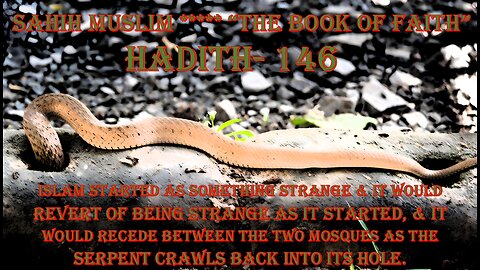 Spitting on islam, the snake in the hole, & the like!