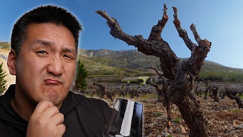 Does TERROIR really affect the taste of WINE???