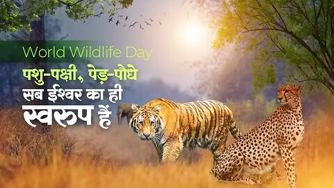 Indian wild Ensuring Protection of our forest and safe Habitate for animals.