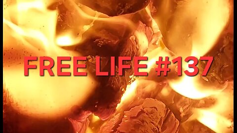 Free Life #137