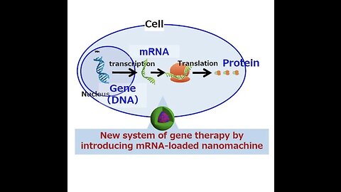 Does the mRNA Gene Therapy Alter DNA?