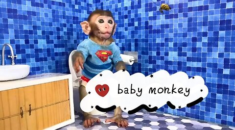 Monkey baby bon2 oes to the toilet and with duckling in the swimming pool