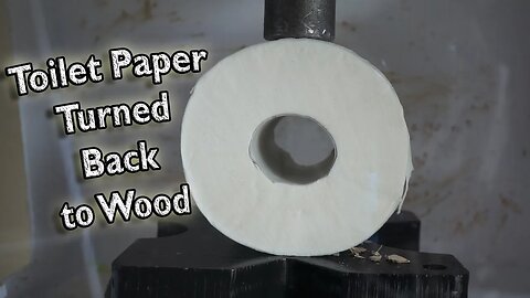 Toilet Paper Turned Back to Solid Wood by Hydraulic Press