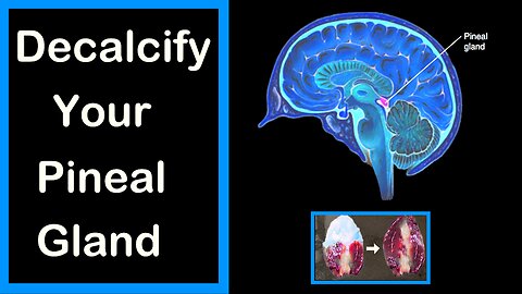 DEcalcify your Pineal Gland | Doorway to awakening your highest spiritual potential