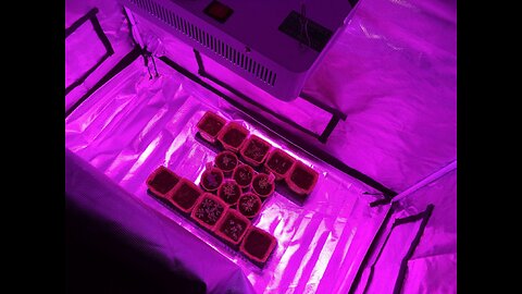 BLOOMSPECT Upgraded 1000W LED Grow Lights with Veg & RED & Bloom 3 Modes, Daisy Chain, Double C...