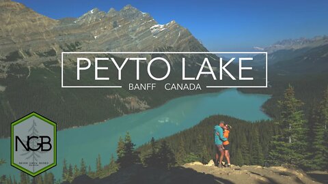Peyto Lake, Banff National Park, Alberta -- 4K Cinematic