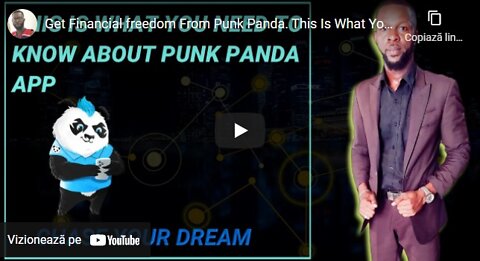 Get Financial freedom From Punk Panda.