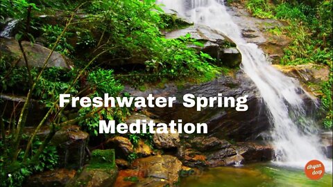 Freshwater Spring Meditation