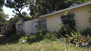 Florida receivership currently handling 8K claims, 2K lawsuits in homeowner insurance crisis