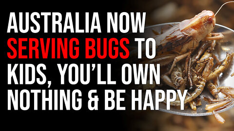 A Thousand Schools In Australia Are Now Serving Bugs To Kids, You Will Own Nothing & Will Be Happy
