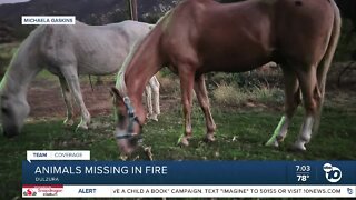 Family's ranch damaged, animals perish in Border 32 fire