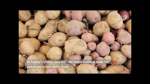 8 Uses Of Potato At Home