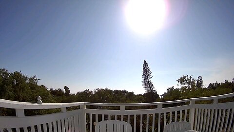 Siesta Key view