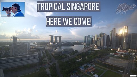 Tropical Singapore Here We Come! Day 1 - Marina Bay & Gardens by the Bay