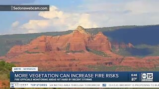 More vegetation can increase fire risks