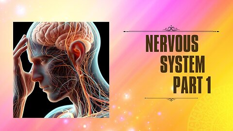 Unraveling the Wonders of the Nervous System Part 1