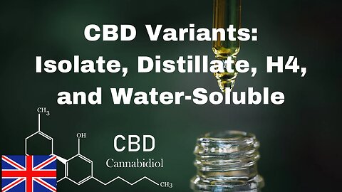 Exploring CBD Variants: Isolate, Distillate, H4, and Water-Soluble!