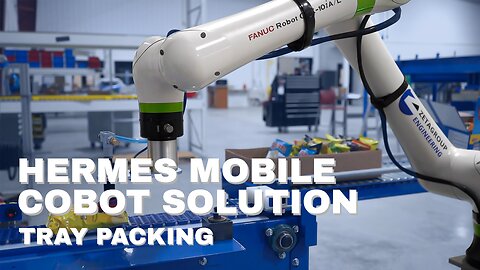 Hermes Mobile Cobot with FANUC CRX - Tray Packing Application