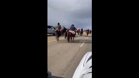 300 horses and riders descend on Coutts border protest