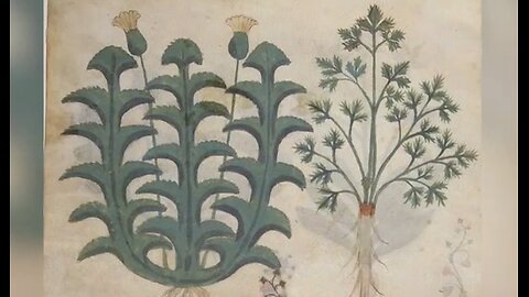 Book of Plants - Year 1400