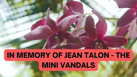 In memory of Jean Talon - The Mini Vandals