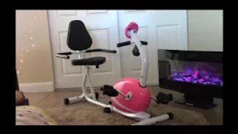 NEW YEARS RES Review for Sunny Health & Fitness Magnetic Recumbent Exercise Bike (stationary) P8400