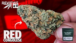 RED CONGOLESE (STRAIN REVIEW) | THC REVIEWS 4 U