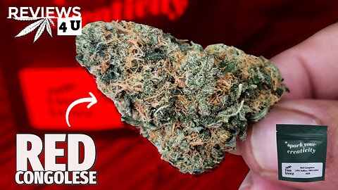 RED CONGOLESE (STRAIN REVIEW) | THC REVIEWS 4 U
