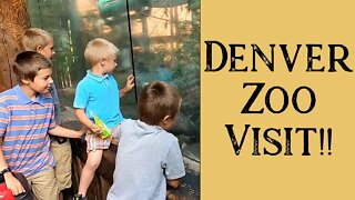 Large Family Trip to the Denver Zoo
