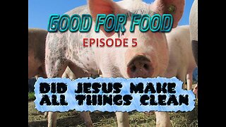 Good For Food episode 5