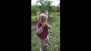 2 YEAR-OLD APPLE PICKING