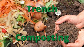 Compost directly in your garden beds!