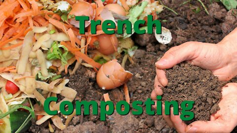 Compost directly in your garden beds!