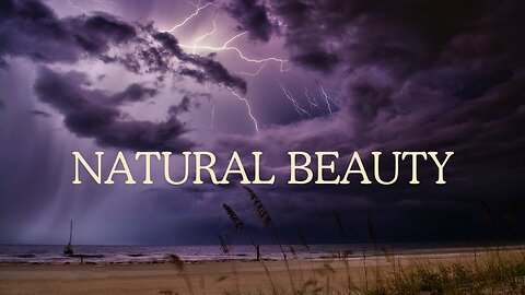 "Nature's Symphony: A Journey Through the Tapestry of Beauty"