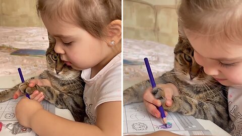 Little Girl Adorably Teaches Her Cat How To Draw