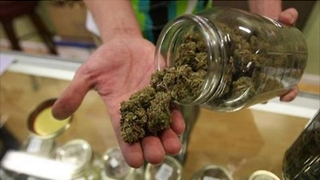 Jeff Sessions Discusses Marijuana Legislation