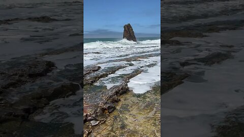 Panther beach ocean wave (2): #santacruz #shorts #panthers #beach #oceanwaves