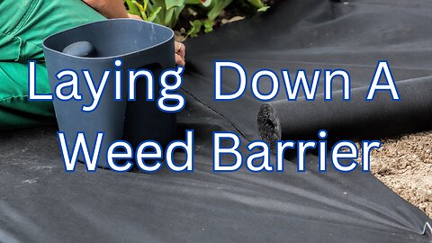 Laying Down A Weed Barrier