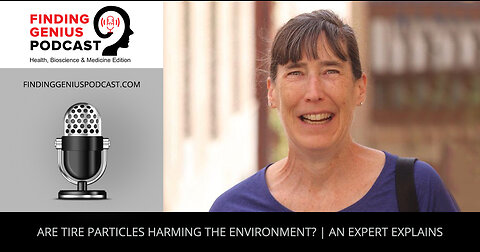 Are Tire Particles Harming The Environment An Expert Explains
