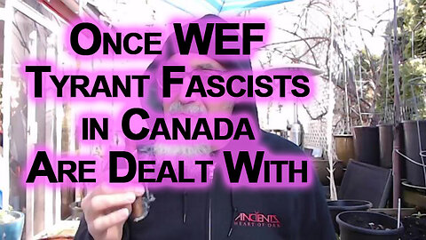 Once the WEF Tyrant Fascists in Canada Are Dealt With, We’ll Do More Comic Book Haul Videos